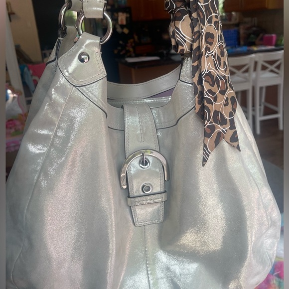 Coach Metallic Biege Shimmering Leather
Maggie Shoulder Bag - Picture 5 of 12